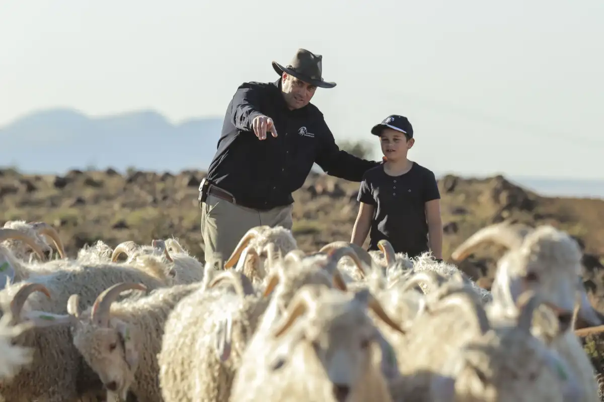 A father teaching his son the art of goat herding