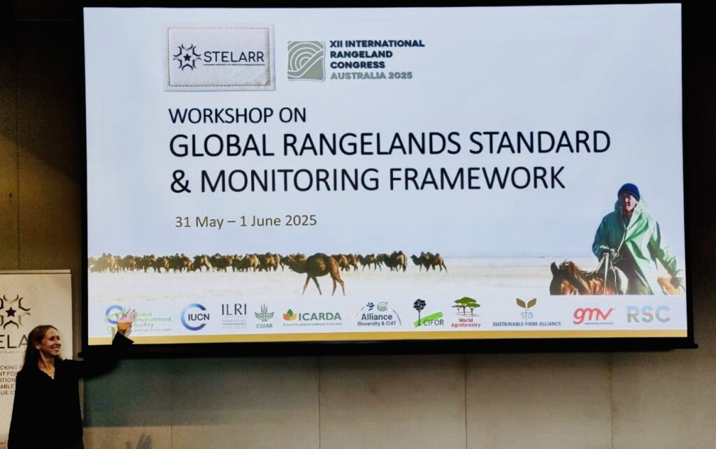 Dr Leigh Winowiecki presenting at the IRC workshop
