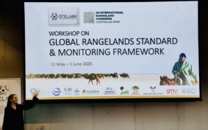 Dr Leigh Winowiecki presenting at the IRC workshop