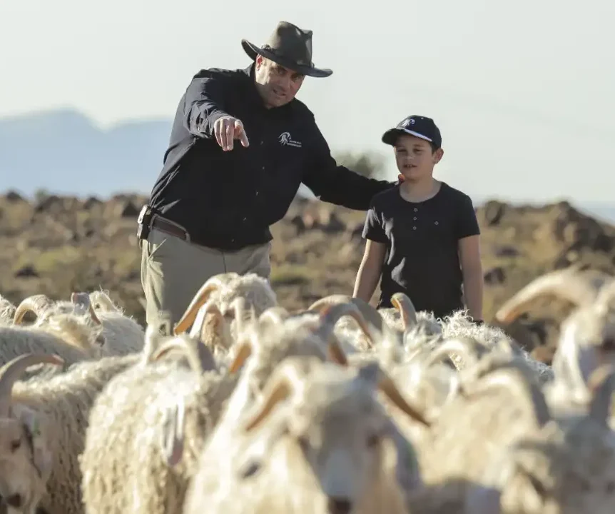 Father and son, goat herding