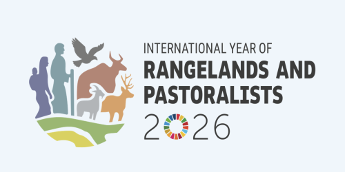 Screenshot 2026-02-15 at 16.54.39