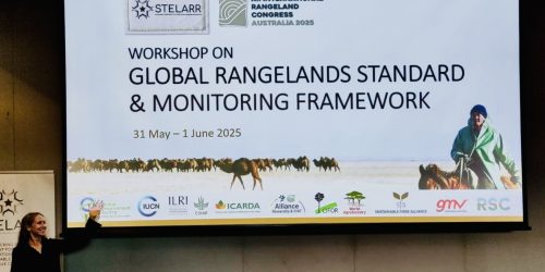 Dr Leigh Winowiecki presenting at the IRC workshop